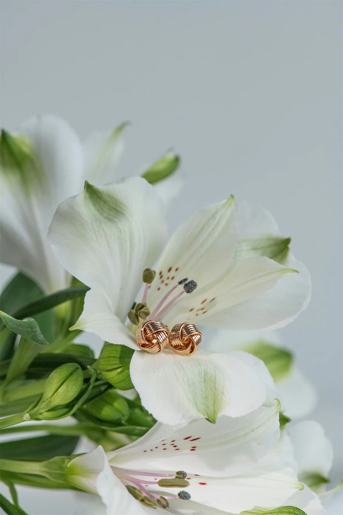 Lotus Flower Jewelry